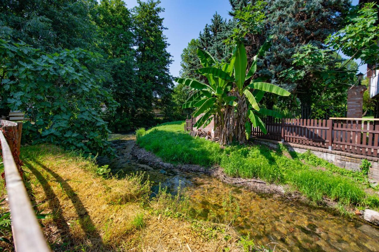 سان مارتينو بون ألبرغو Villa Vitti'S - Verona Est المظهر الخارجي الصورة
